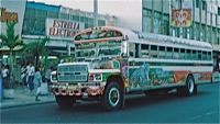 Painted busses