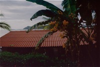 View over dining building